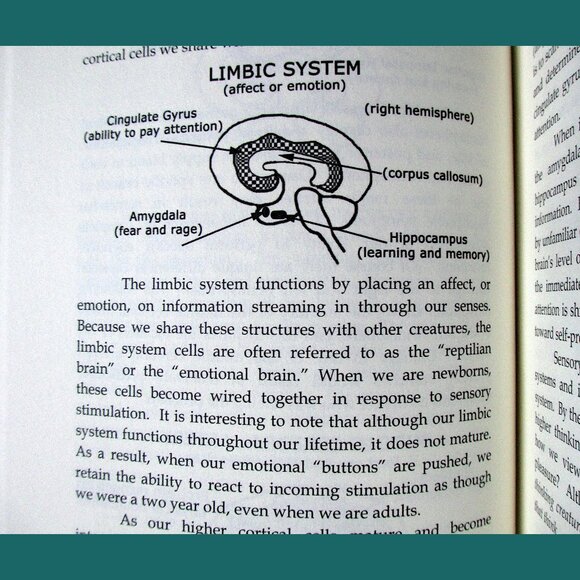Book - My Stroke of Insight: A Brain Scientist's Personal Journey - Picture 8 of 13